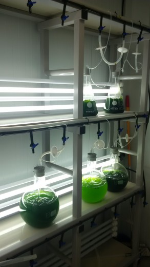 laboratorio-Grupo-Dulcesol