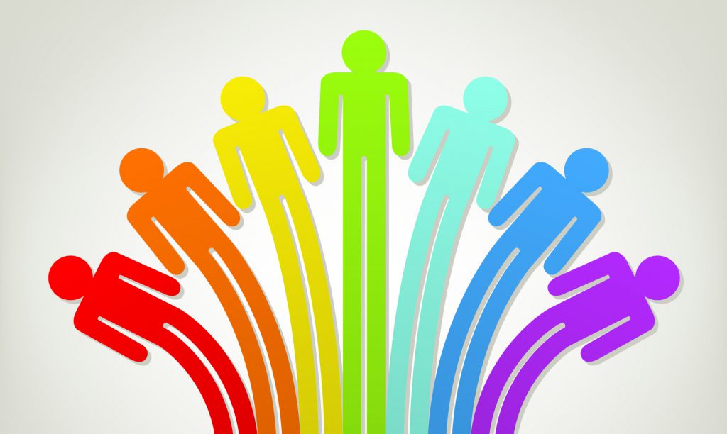 diversidad-web-gestión