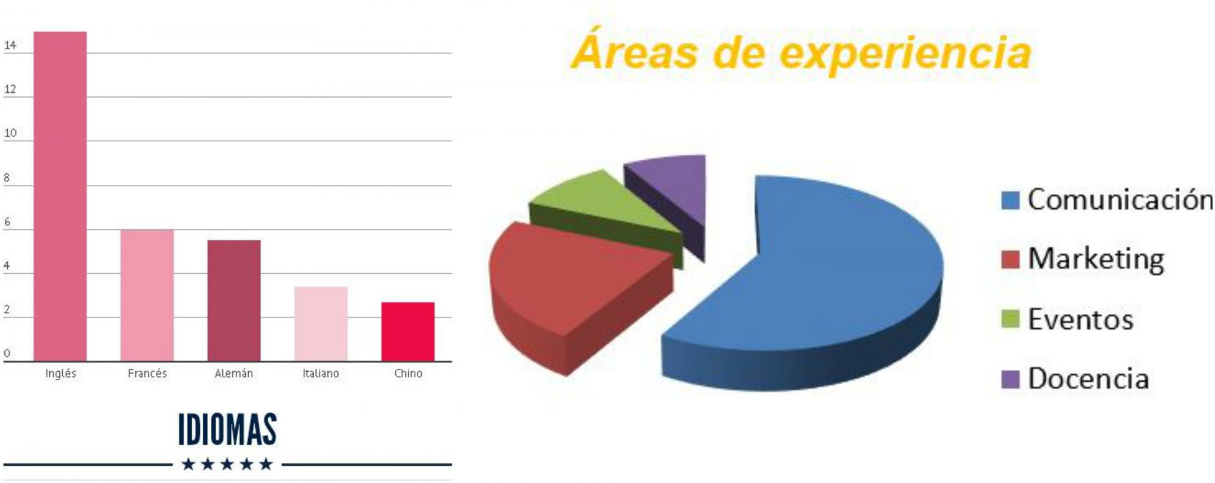 gráficos-áreas-de-experiencia