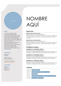 cv-perfil-junior-ejemplo